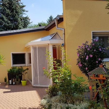 Ferienhaus Koehler Wittenberg Esterno foto